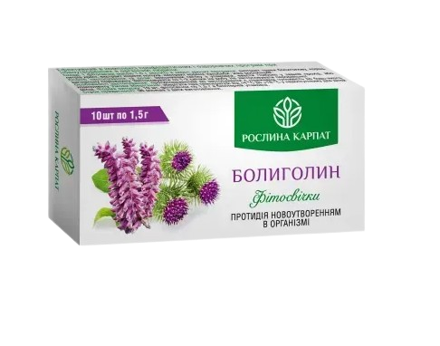 Болиголин Растения Карпат