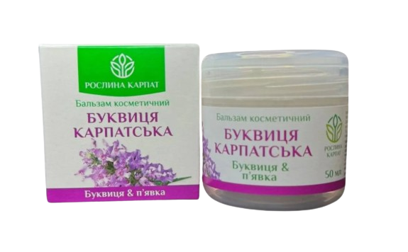 Буквица карпатская Растения Карпат