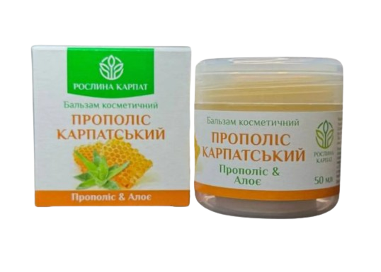Прополіс карпатський Рослини Карпат