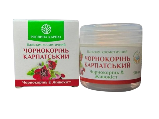 Чернокорень карпатский Растения Карпат