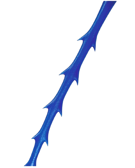 Platinum Lift Molding Fish 18G*100 — лифтинговые нити PDO для выраженного подъема тканей