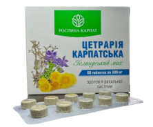 Цетрария Карпатская Растения Карпат